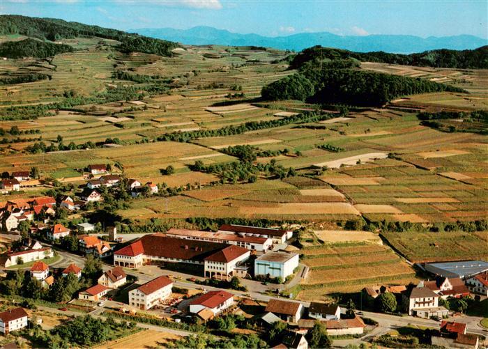 Vogtsburg Kaiserstuhl Kaiserstuehler Winzerverein Oberrotweil