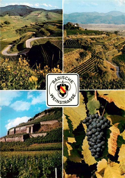 Kaiserstuhl Region Badische Weinstrasse Tuniberg Teilansichten