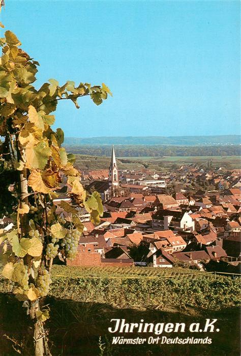 Ihringen Kaiserstuhl Panorama