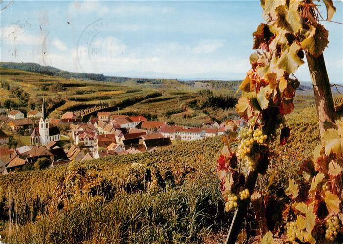 Bickensohl Vogtsburg Kaiserstuhl Panorama