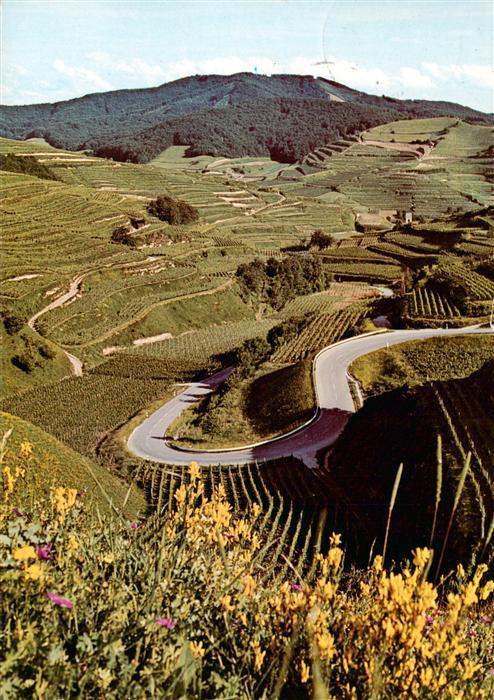 Oberbergen Vogtsburg BW Fliegeraufnahme Terrassenlandschaft mit Blick zum Totenk