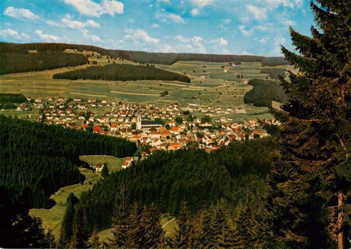 Neustadt  Schwarzwald Titisee-Neustadt Panorama