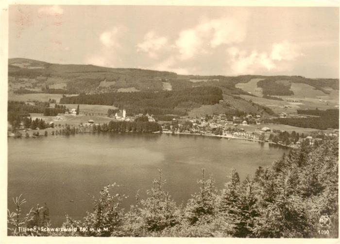 Titisee-Neustadt Seepanorama