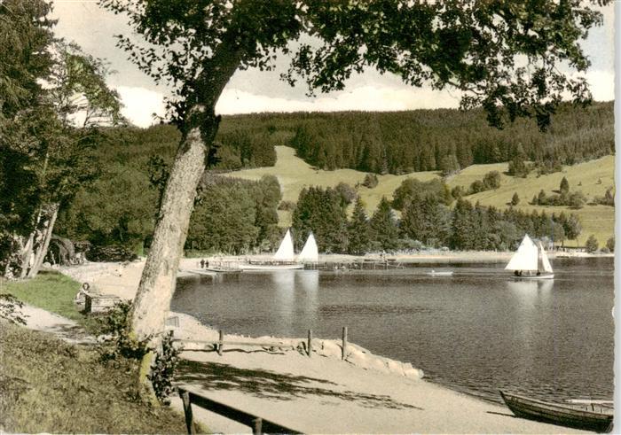 Titisee-Neustadt Seepartie