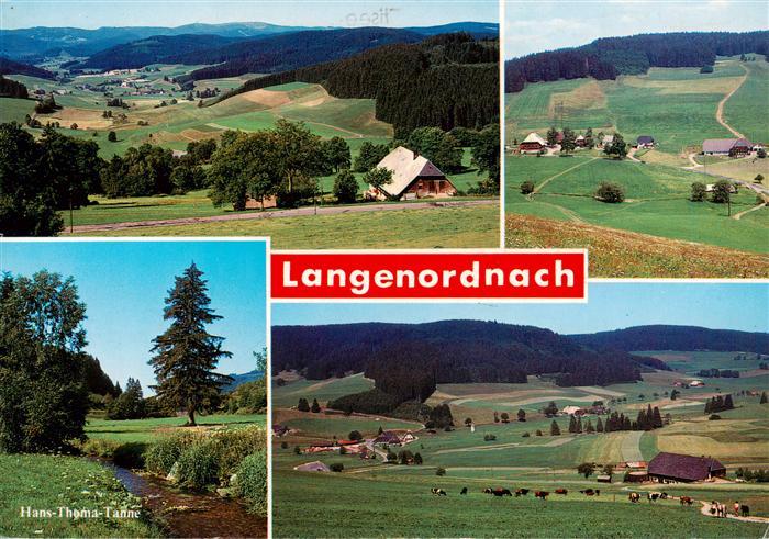 Langenordnach Titisee-Neustadt Panorama Hans Thoma Tanne