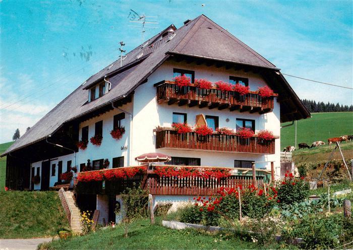 Titisee-Neustadt Gantershof