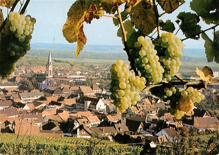 Ihringen Kaiserstuhl Panorama Kirche