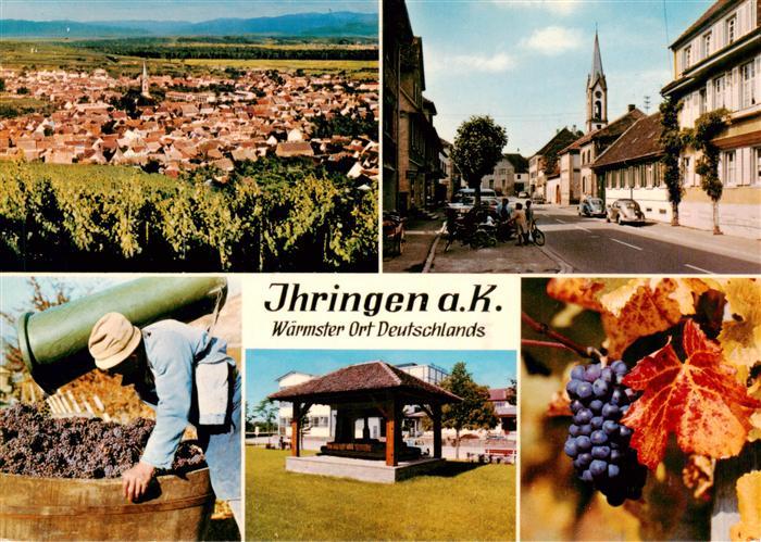 Ihringen Kaiserstuhl Panorama Hauptstrasse Weinlese Pavillon