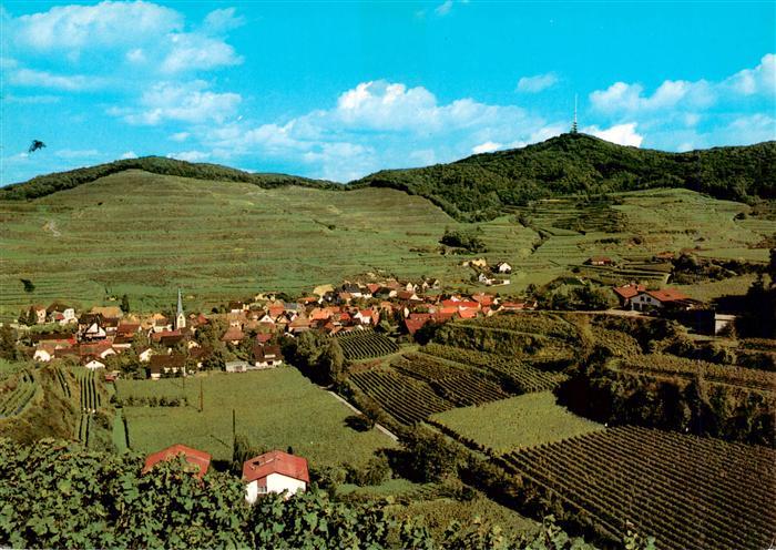 Bickensohl Vogtsburg Kaiserstuhl Fliegeraufnahme
