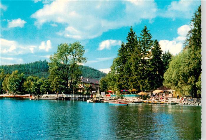 Titisee-Neustadt Seepartie
