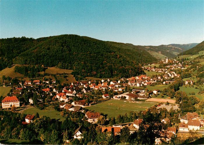 Muenstertal Schwarzwald Fliegeraufnahme