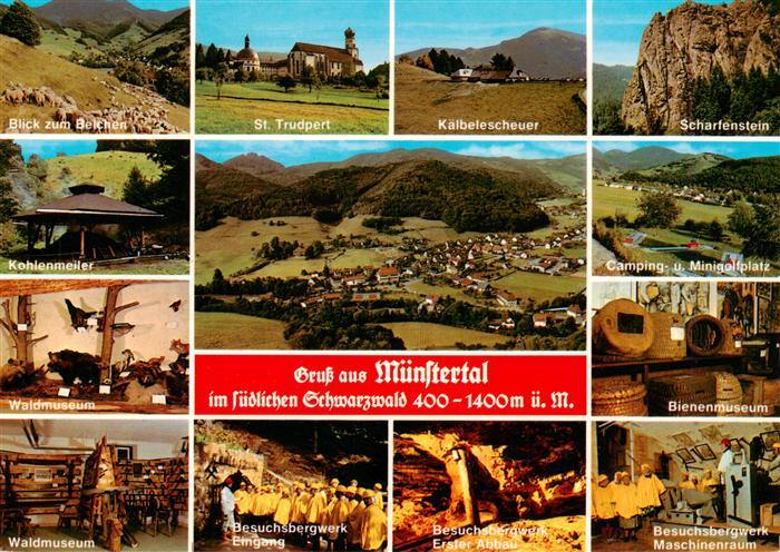 Muenstertal Schwarzwald Belchenblick Kohlenmeiler Waldmuseum Besuchsbergwerk Ei