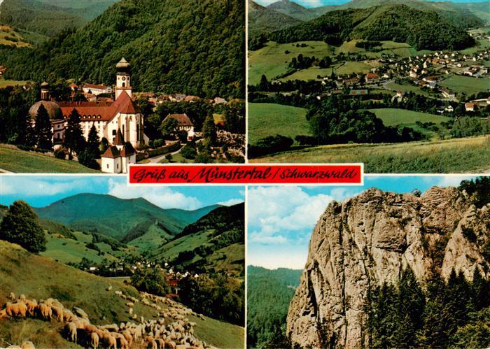 Muenstertal Schwarzwald St Trudpert Fliegeraufnahme Schafherde Felsen