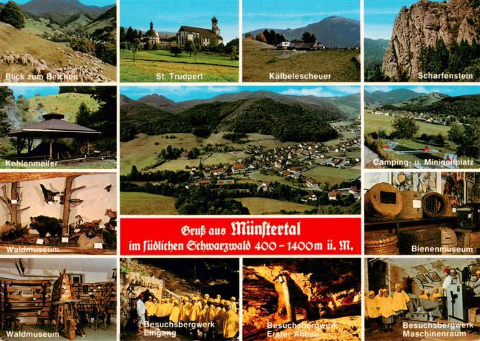 Muenstertal Schwarzwald Belchenblick Kohlenmeiler Waldmuseum Besuchsbergwerk Ei
