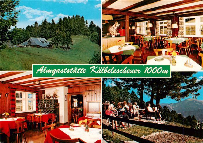 Muenstertal Schwarzwald Almgaststaette Kaelbelescheuer Gasraeume Panorama