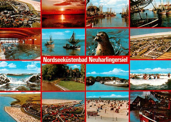 Neuharlingersiel Fliegeraufnahmen Hallenbad Wellen Kutterhafen Seehund Strand