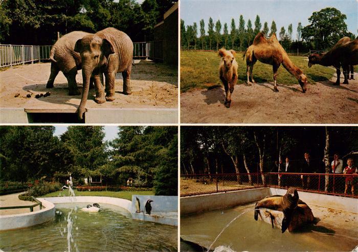 Jaderberg Jade Jaderberger Tiergarten Elefanten Kamele Seehunde Pinguine