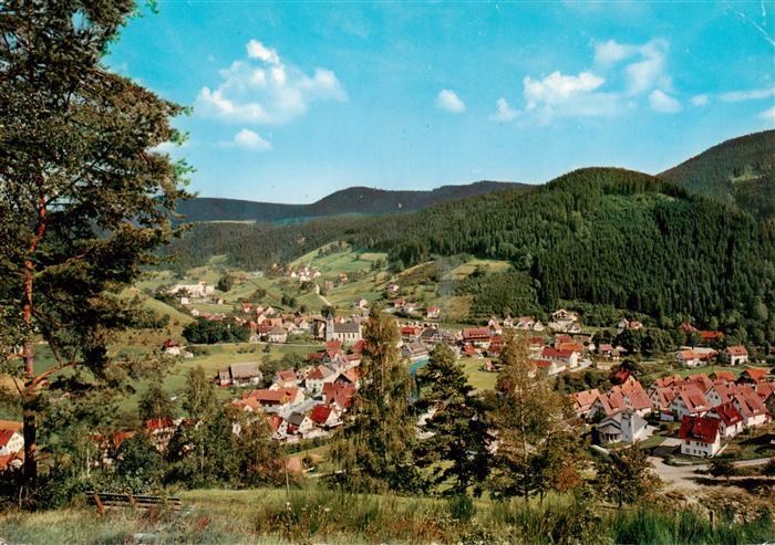 Schenkenzell Panorama Luftkurort