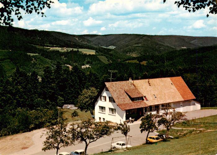 Schenkenzell Gasthof Holzebene Landschaft Schwarzwald