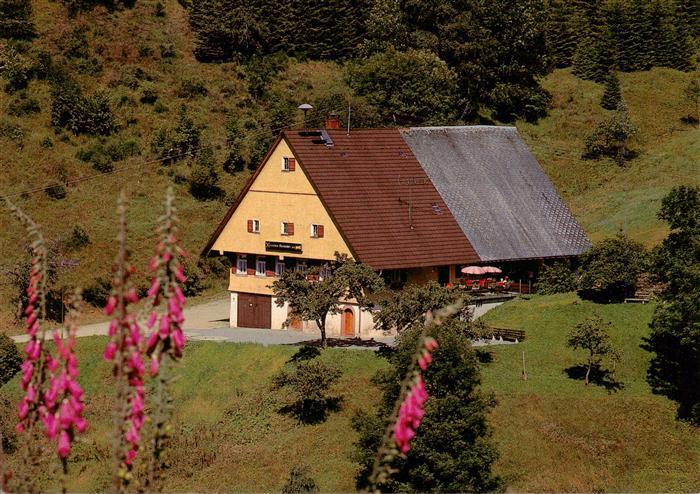 Schenkenzell Gasthof Café Martinshof