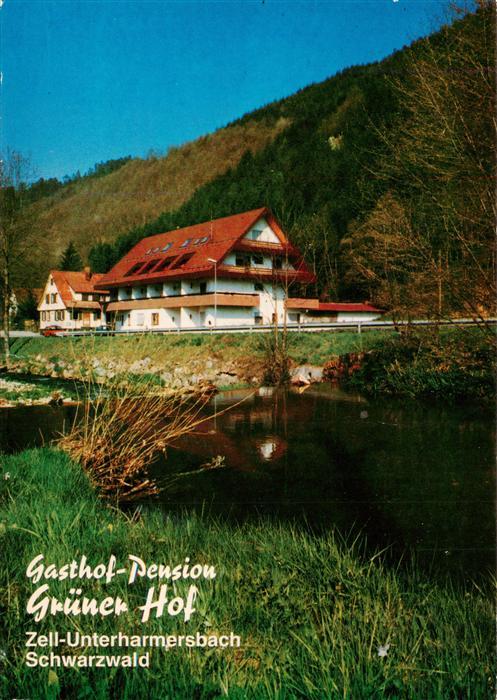 Unterharmersbach Gasthof Pension Gruener Hof
