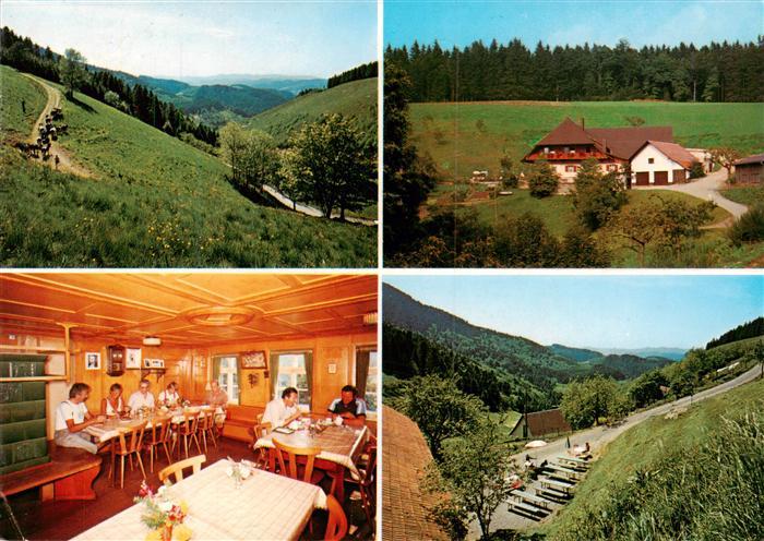 Oberharmersbach Harkhof Gastraum Panorama