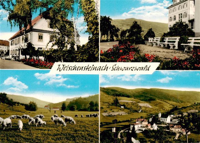 Welschensteinach Steinach Gasthaus Schafherde Panorama