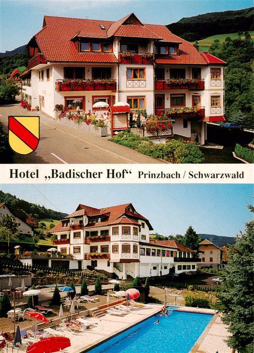 Prinzbach Biberach Kinzigtal Hotel Badischer Hof Schwimmbad