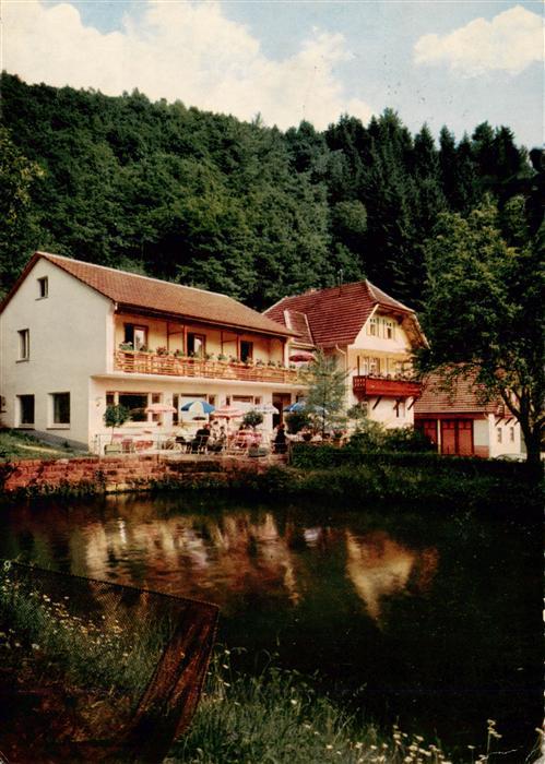 Loecherberg Oberharmersbach Haus Schwarzwald Idyll