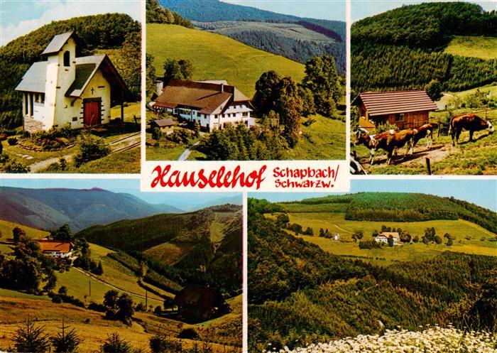 Schapbach Hauselehof Panorama Teilansichten