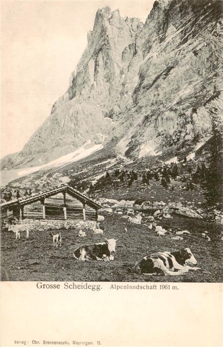 Grosse Scheidegg 1962m BE Alpenlandschaft
