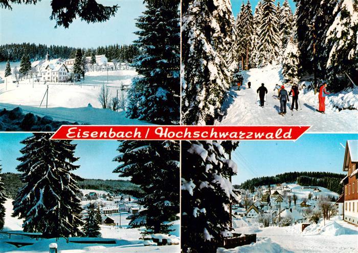 Eisenbach Schwarzwald Winterpanorama Details