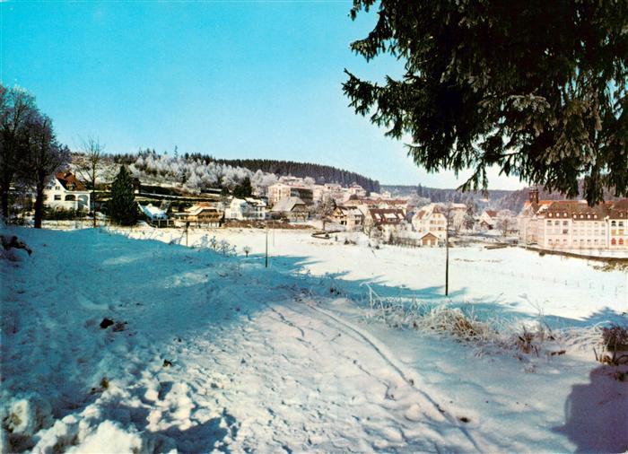 Friedenweiler Winterpanorama
