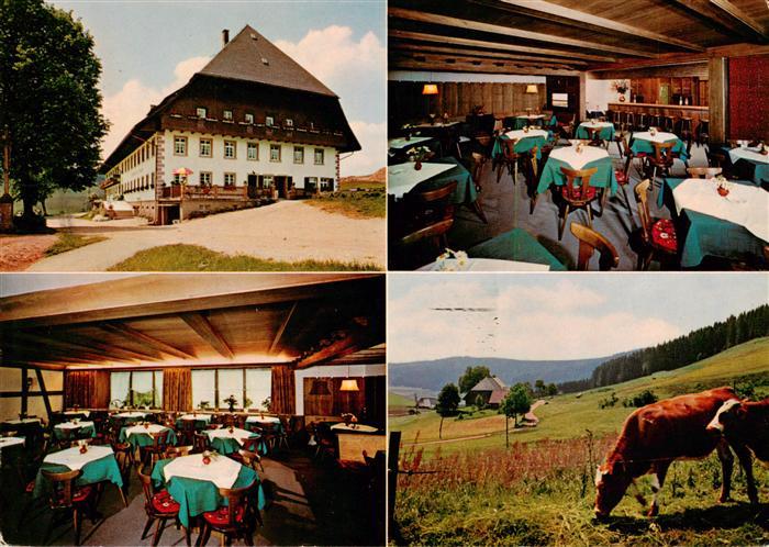 Waldau Schwarzwald Titisee-Neustadt Schwarzwaldgasthof zur Traube Gastraeume Pan
