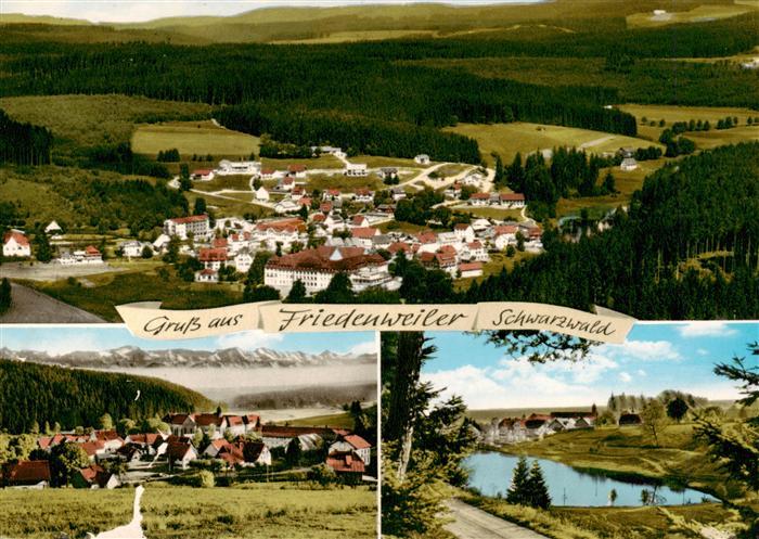 Friedenweiler Fliegeraufnahme Panorama Seepartie