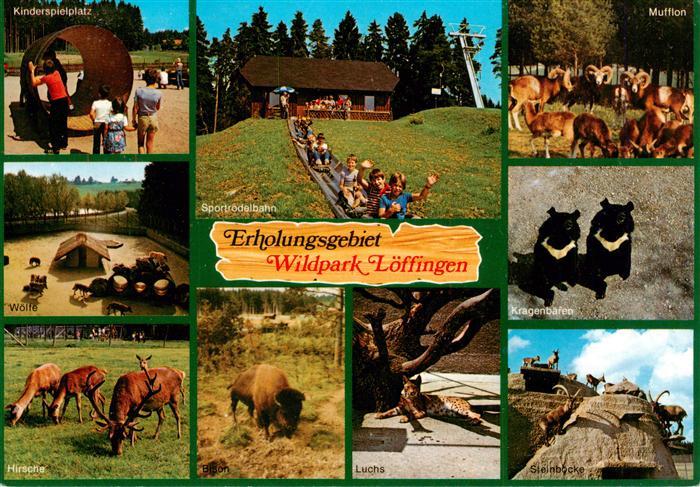 Loeffingen Kinderspielplatz Wildpark Loeffingen Rodelbahn Woelfe Hirsche Mufflon