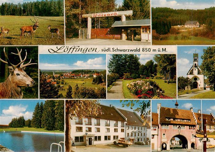 Loeffingen Wildpark Loeffingen Hirsche Eingang Panorama Park Kirche Schwimmbad G