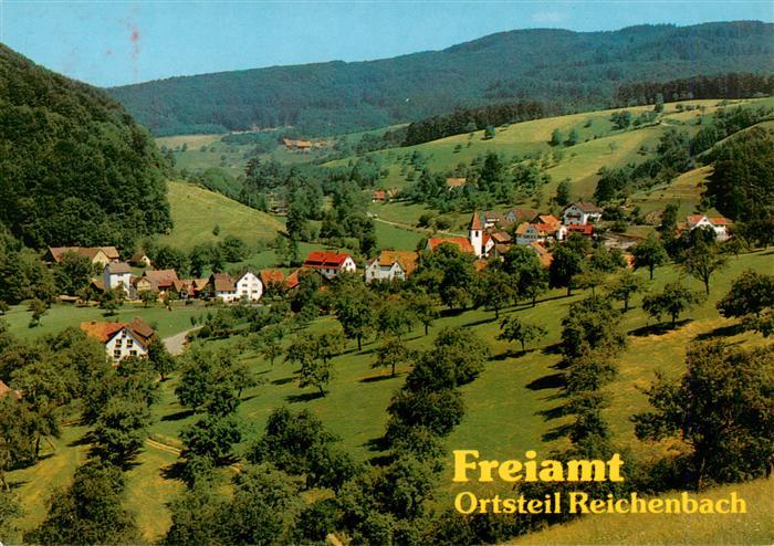 Reichenbach Freiamt Panorama