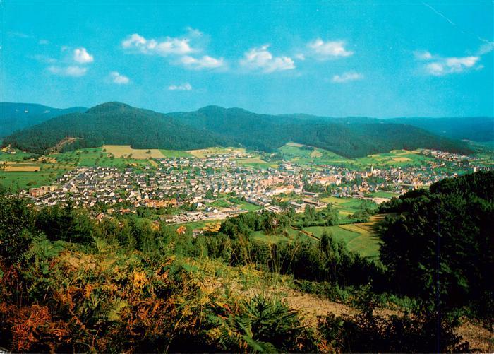 Seelbach Schutter Lahr BW Fliegeraufnahme