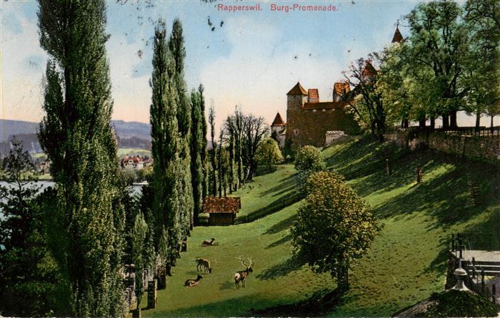 Rapperswil BE Burg Promenade