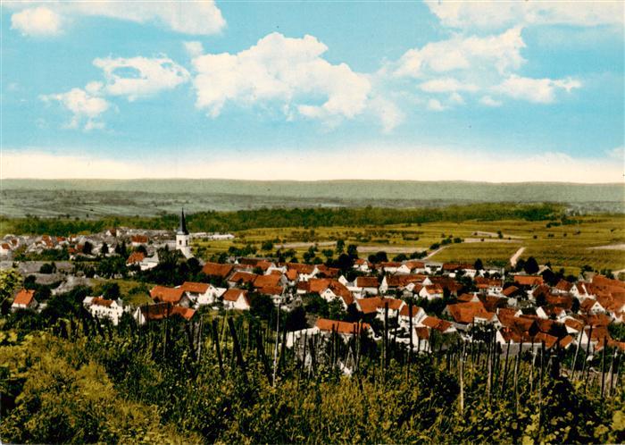 Ballrechten Panorama