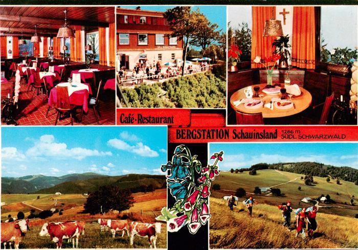 Schauinsland Oberried BW Café Restaurant Bergstation Schauinsland Gastraum Lands