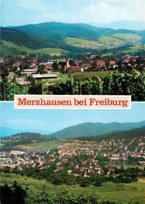 Merzhausen  Freiburg Breisgau Panorama Schwarzwald