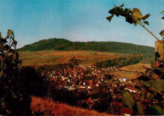Merzhausen  Freiburg Breisgau Panorama mit Hotel Restaurant Frohe Einkehr