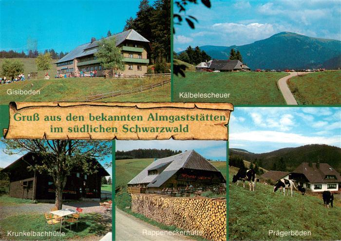 Oberried  Breisgau Schwarzwald Almgaststaetten im suedlichen Schwarzwald Schauin