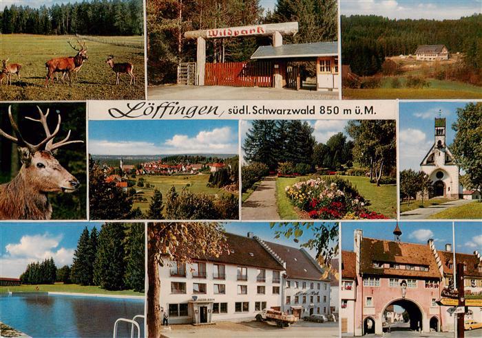 Loeffingen Wildpark Loeffingen Hirsche Eingang Panorama Park Kirche Schwimmbad G