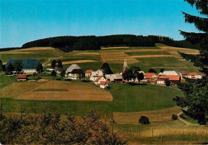 Waldau Schwarzwald Titisee-Neustadt Panorama mit Gasthaus zur Sonne