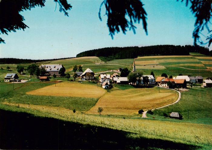 Waldau Schwarzwald Titisee-Neustadt Panorama mit Gasthaus Pension zur Traube