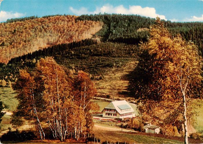 Oberprechtal Elzach Elztal BW Hoehengasthaus Landwassereck