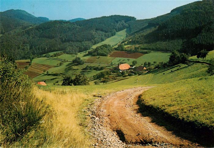 Oberprechtal Elzach Elztal BW Landwassereck Panorama